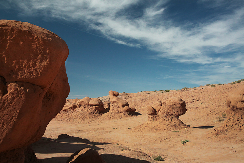 Bison : Antelope Island : Utah : Landscape Photos : Richard Moore : Photographer